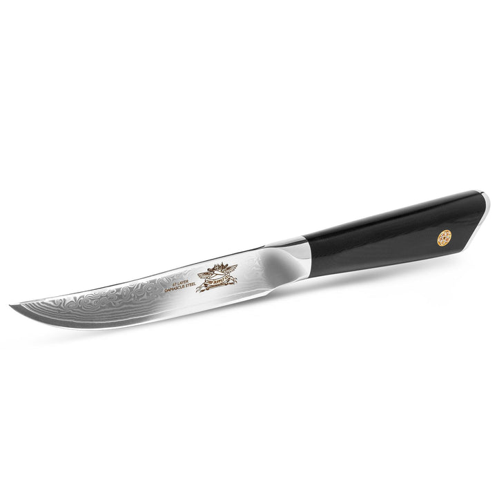 CHEF SUPPLY CO Kitchen Knives Dundee Series 12 cm - 5" VG-10 Damascus Steak Knife Set of 4 - Black G10 Handles