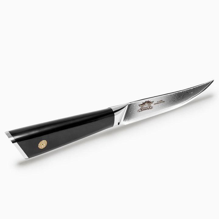 CHEF SUPPLY CO Kitchen Knives Dundee Series 12 cm - 5" VG-10 Damascus Steak Knife Set of 4 - Black G10 Handles