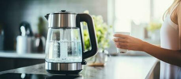 Electric kettle for boiling water