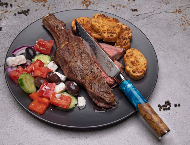 CHEF SUPPLY CO Bondi Beach Series Damascus Steak Knife Set of 4 - Resin and Wood Burl Handles