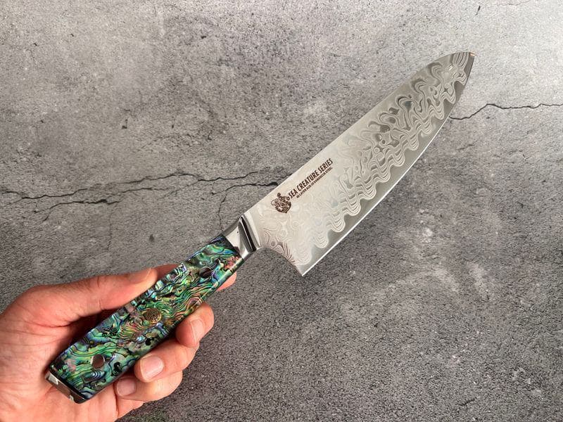 CHEF SUPPLY CO Sea Creature Series 21 cm Chef Knife – Open Box Special