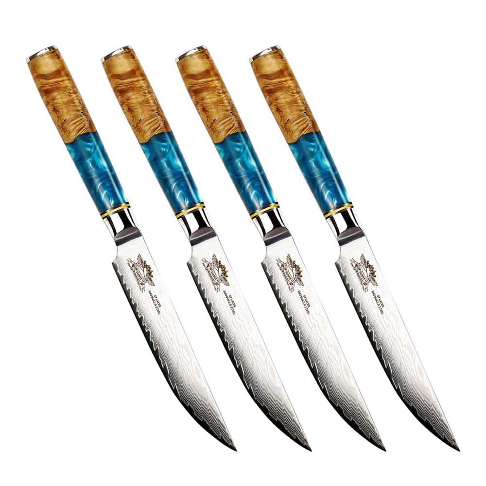 Bondi Beach Series VG-10 Damascus Steak Knife Set of 4 - Resin and Wood Burl Handles